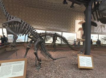 connecticut/new-haven-harbor/shop/museum-store