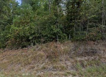 mississippi/desoto-national-forest/shop/vintage-designs-inc