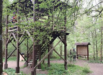 poland/białowieża-forest/shop/miejsce-mocy