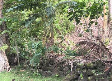 american-samoa/swains-island/shop/malaeimi-mart