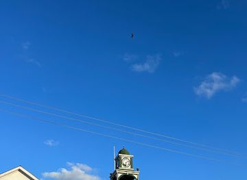 belize/southern-belize-barrier-reef/shop/down-town-plaza