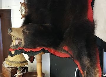 united-kingdom/morayshire/shop/the-old-curiosity-shop-rothes