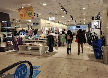 chile/vina-del-mar/shop/paris-marina-arauco