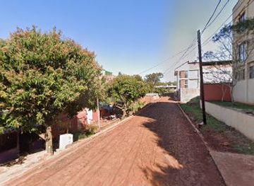 argentina/puerto-iguazu/shop/sunflower-delusion