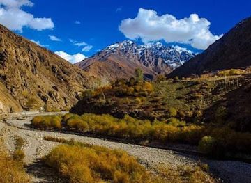afghanistan/panjshir/shop/bazar-abshar