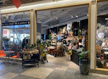 sweden/kalmar/shop/giraffe-shopping