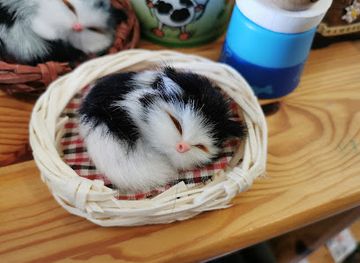 austria/dachstein-mountains/shop/geschenkestube-walcher