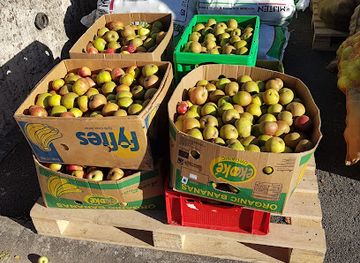 luxembourg/diekirch/shop/vizerei