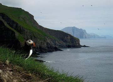 faroe-islands/mykines-island/shop/visit-mykines