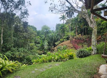colombia/tolima-department/shop/san-jorge-botanical-garden