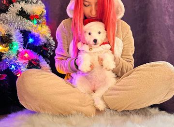 romania/brasov/shop/morena-merch