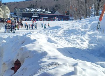 new-hampshire/franconia-notch-state-park/shop/the-bird