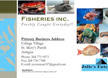 antigua-and-barbuda/darkwood-beach/shop/j-j-enterprise