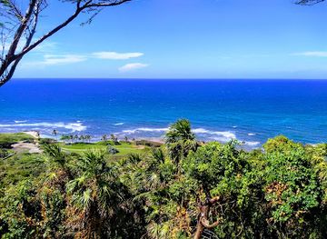 honduras/yoro-region/shop/eco-honduras