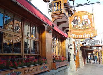 argentina/cerro-tronador/shop/delturista