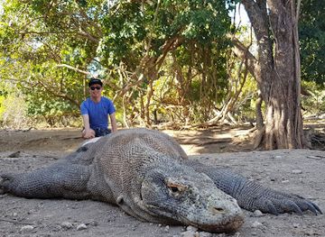 indonesia/komodo-national-park/shop/loh-buaya-rinca