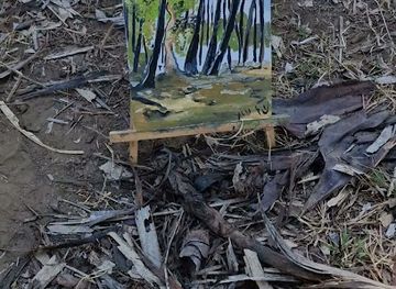 timor-leste/ainaro/shop/oil-paintings-for-sale