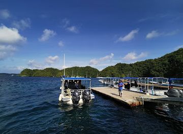 palau/southern-lagoon/shop/sam-s-tours-palau