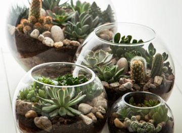 colombia/los-nevados-national-natural-park/shop/sabiduria-ambiental