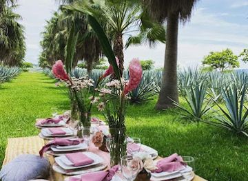 mexico/tequila-valley/shop/casa-morin-tequila