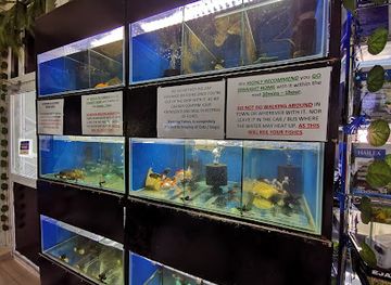 seychelles/bird-island/shop/gift-depot-aquarium-shop