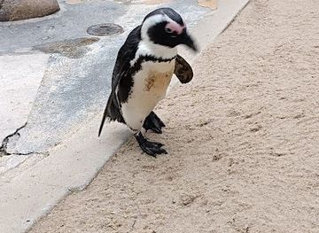 germany/stuttgart/shop/wilhelma-shop