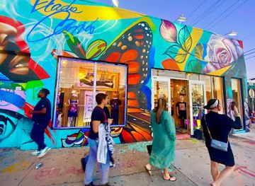 florida/miami/wynwood/shop/wynwood-soul