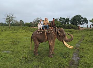 india/kaziranga-national-park/shop/kaziranga-western-range-elephant-safari-point