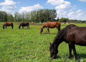 hungary/szigetkoz/shop/fuzbotolo-kecsketenyeszet