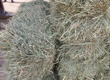 oman/mirbat/shop/baror-al-salam-est