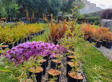 chile/patagonia/shop/jardines-de-la-patagonia