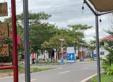 panama/pedasi/shop/jungla