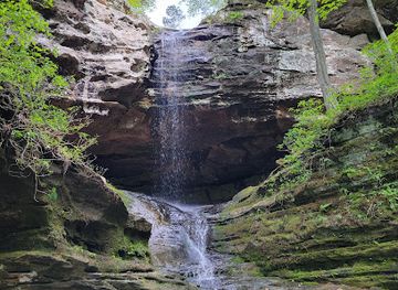 illinois/ferne-clyffe-state-park/shop/ferne-clyffe-state-park