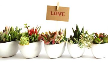 australia/fleurieu-peninsula/shop/fleurieu-gifts