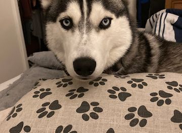 florida/naples-beach/shop/antiques-center-of-naples