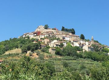 croatia/istrian-peninsula/shop/miro-tartufi