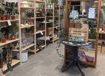 new-hampshire/belknap-county/shop/catchpenny