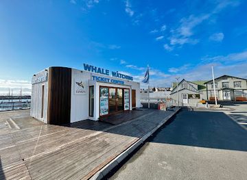 iceland/húsavík/shop/gentle-giants-husavik-whale-watching