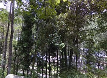 bhutan/trongsa-district/shop/district-store