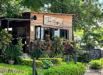 zimbabwe/bvumba-botanical-gardens/shop/tami-walker-fine-art-gallery