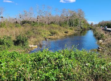 florida/big-cypress-national-preserve/shop/florida-trail-southern-terminus
