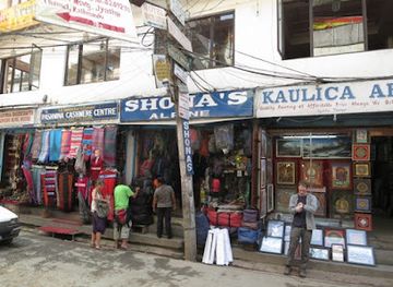 nepal/kanchenjunga-base-camp/shop/shona-s-alpine