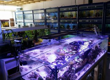 liechtenstein/triesen-region/shop/aquarius-kanel