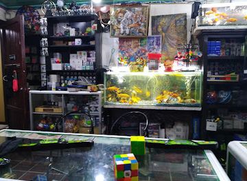 guatemala/quetzaltenango/shop/rubiks-xela