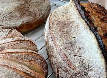 denmark/hornbæk/shop/wild-bageri