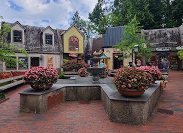 The Village Shops
