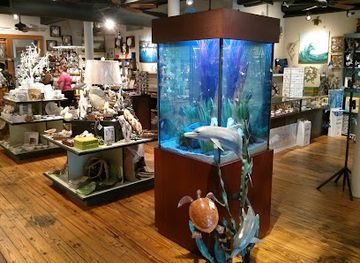 texas/galveston/shop/the-admiralty-on-the-strand