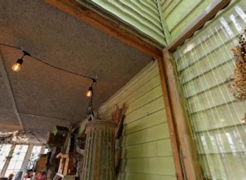 pennsylvania/laurel-highlands/shop/painted-fern