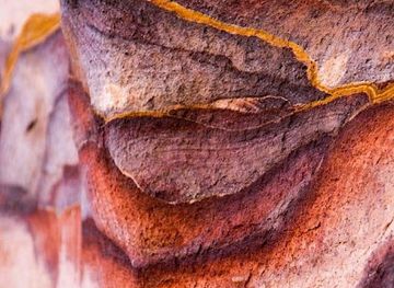 jordan/mujib-nature-reserve/shop/mosaic-house-art-mosaics