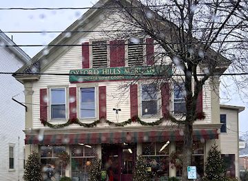 maine/oxford-county/shop/oxford-hills-mercantile-ollie-and-david-s